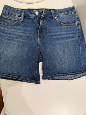 Levi’s Premium Ribcage Shorts Womens 28 High Rise Raw Hem Denim Distressed